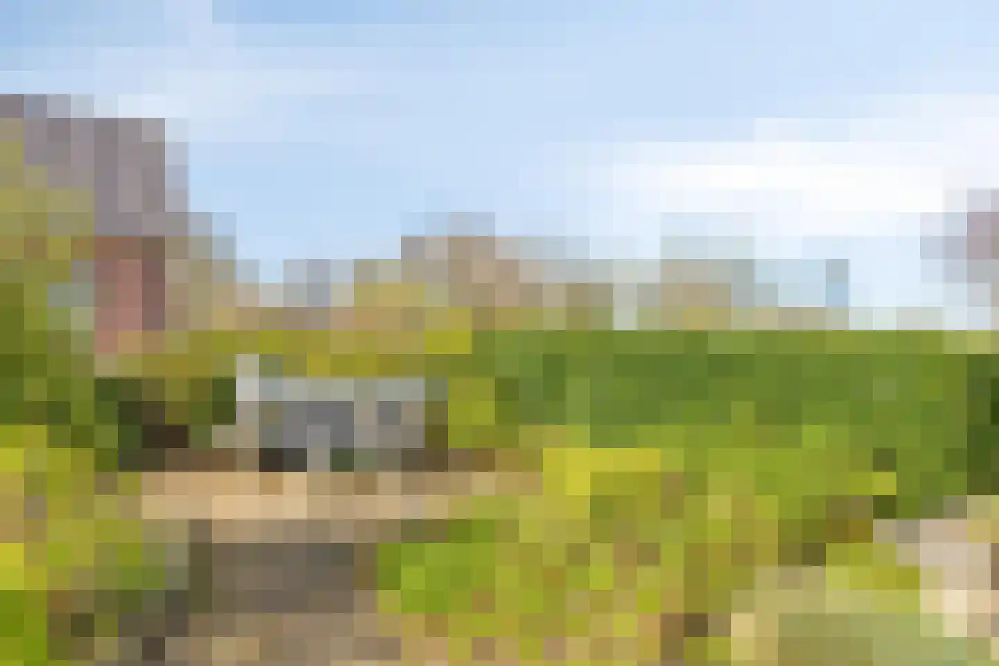 't Modderweidje 29 Waarland thumbnail 40