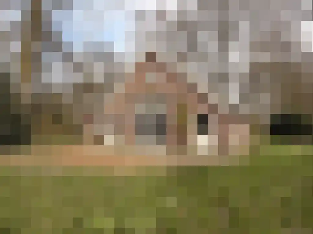't Nijenhuis 2 Wijhe