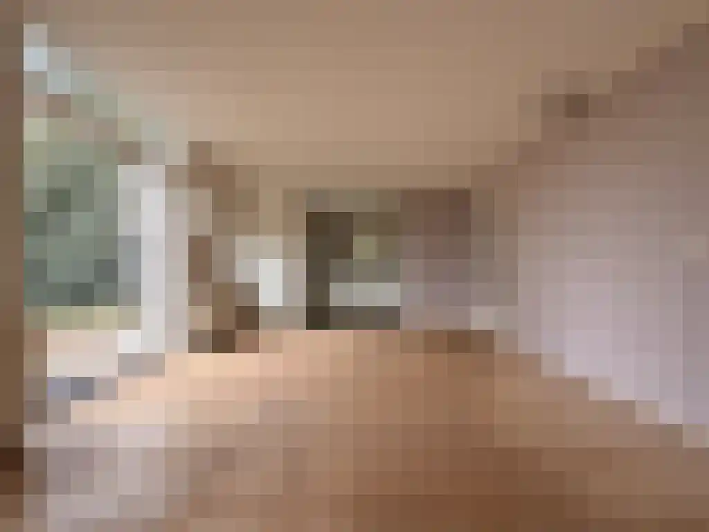 't Nijenhuis 2 Wijhe foto 2