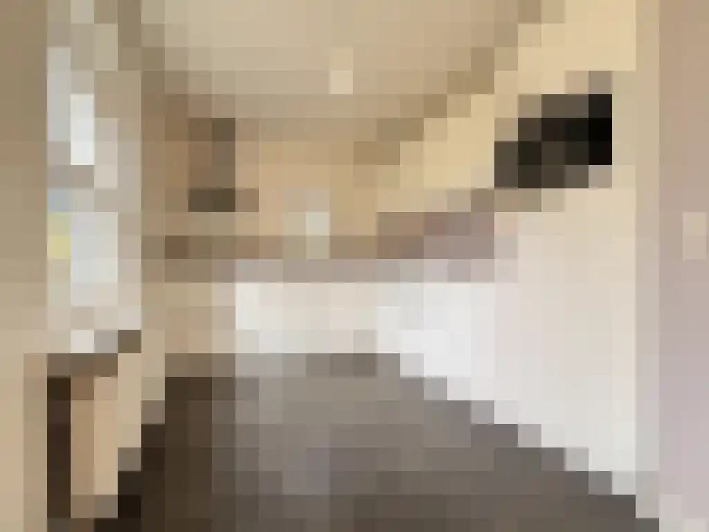 't Nijenhuis 2 Wijhe foto 3