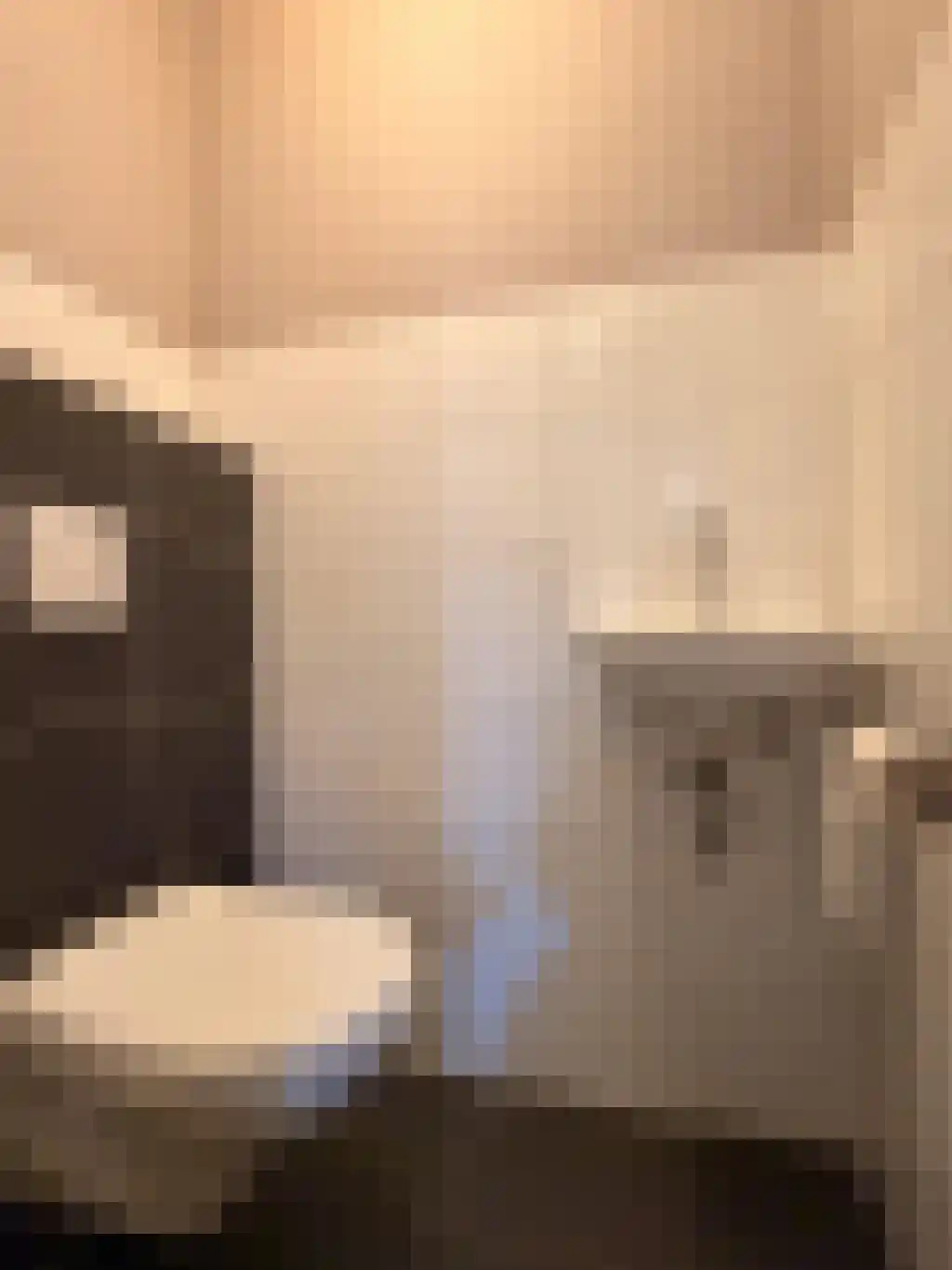 't Nijenhuis 2 Wijhe thumbnail 6