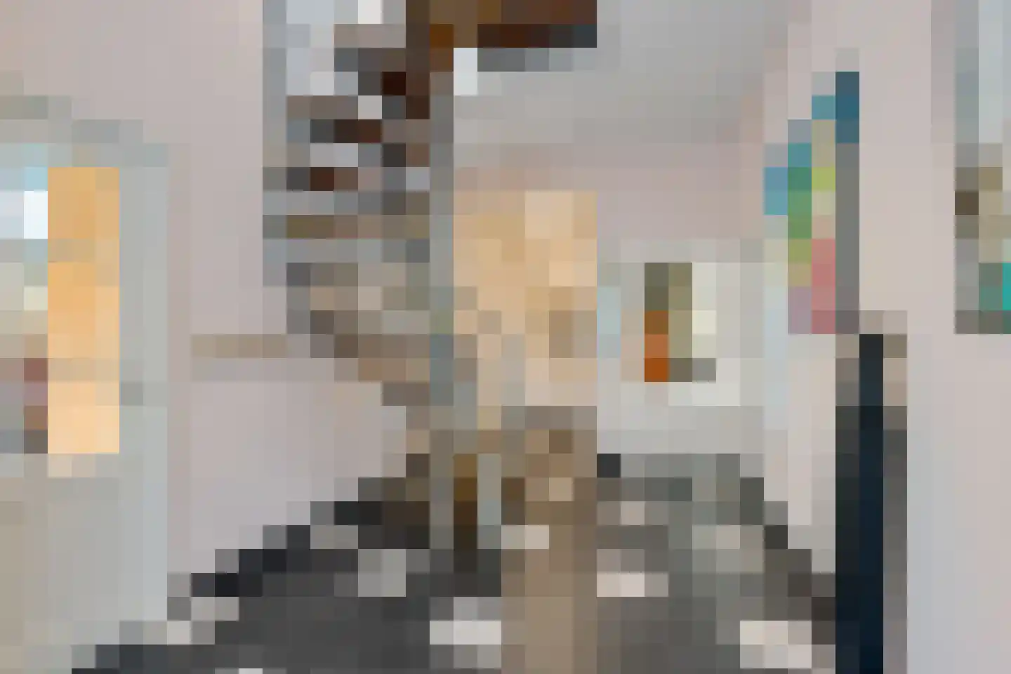 't Noard 2 Warns thumbnail 16