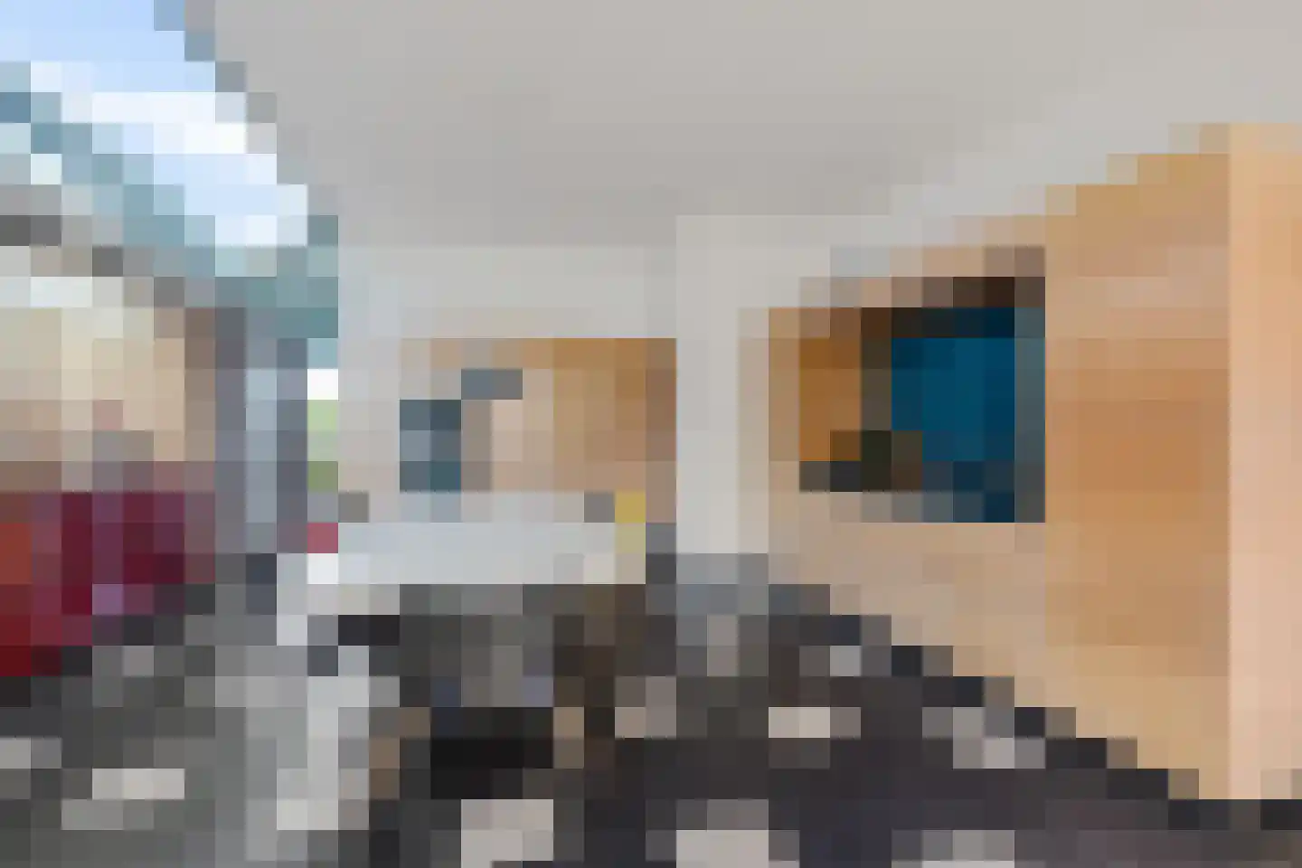 't Noard 2 Warns thumbnail 17