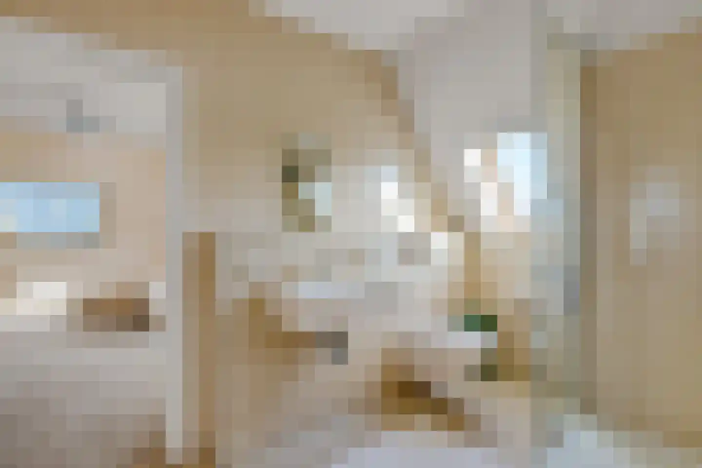 't Noard 2 Warns thumbnail 31