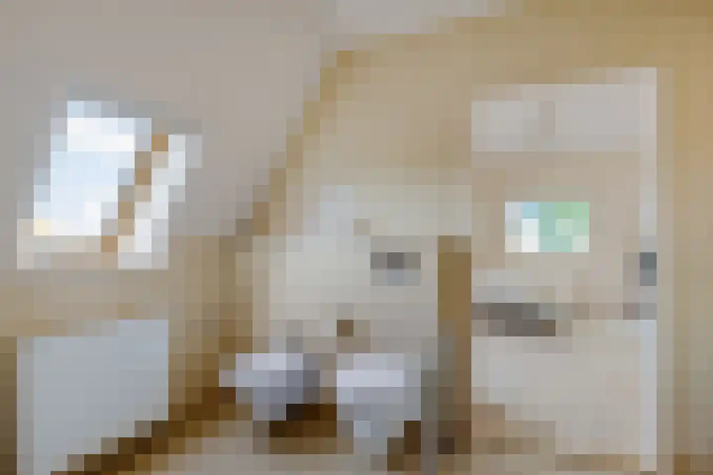't Noard 2 Warns thumbnail 35