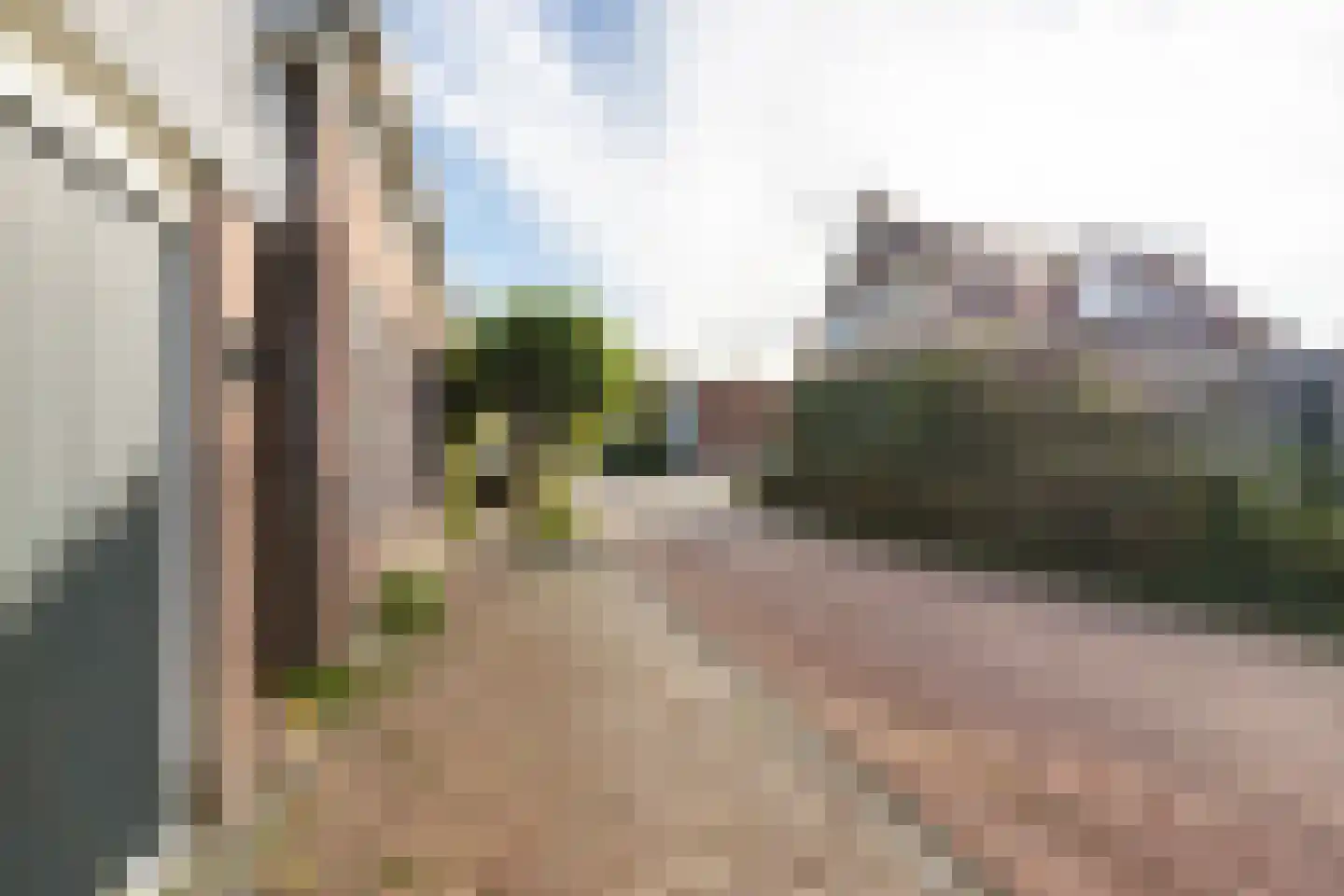 't Noard 2 Warns thumbnail 39