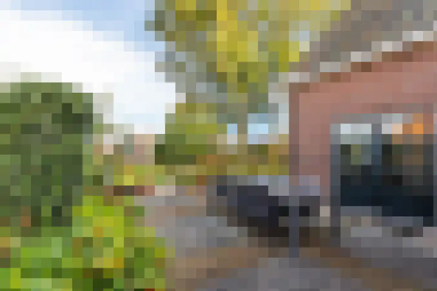 't Noard 2 Warns thumbnail 42