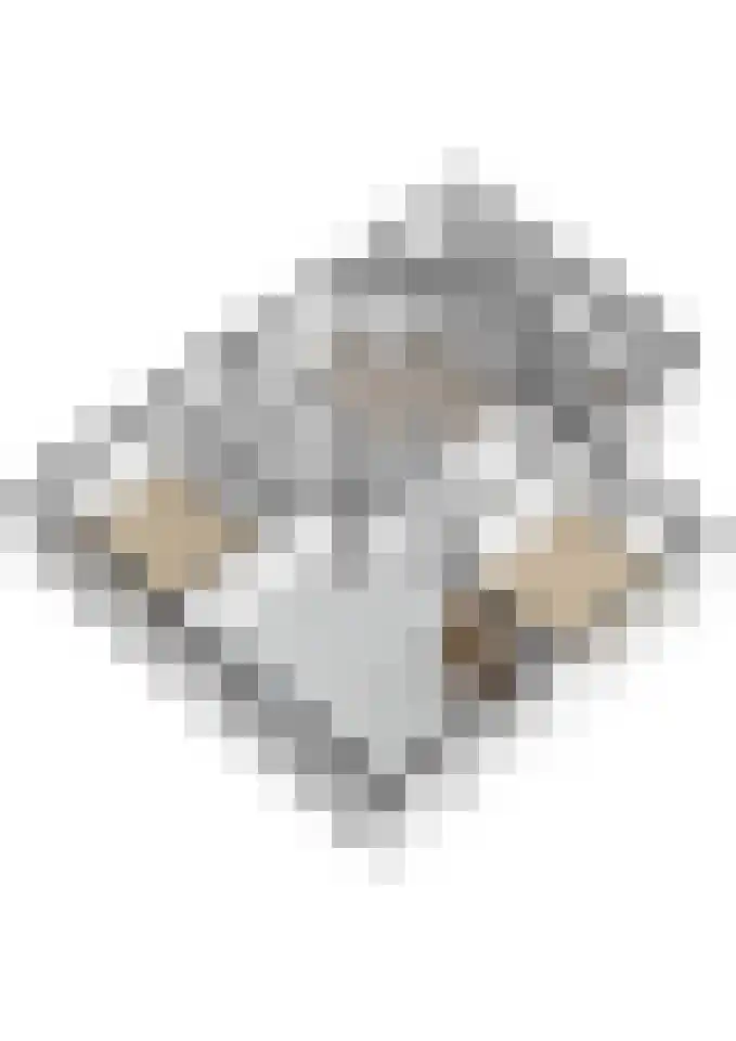 't Noard 2 Warns thumbnail 59