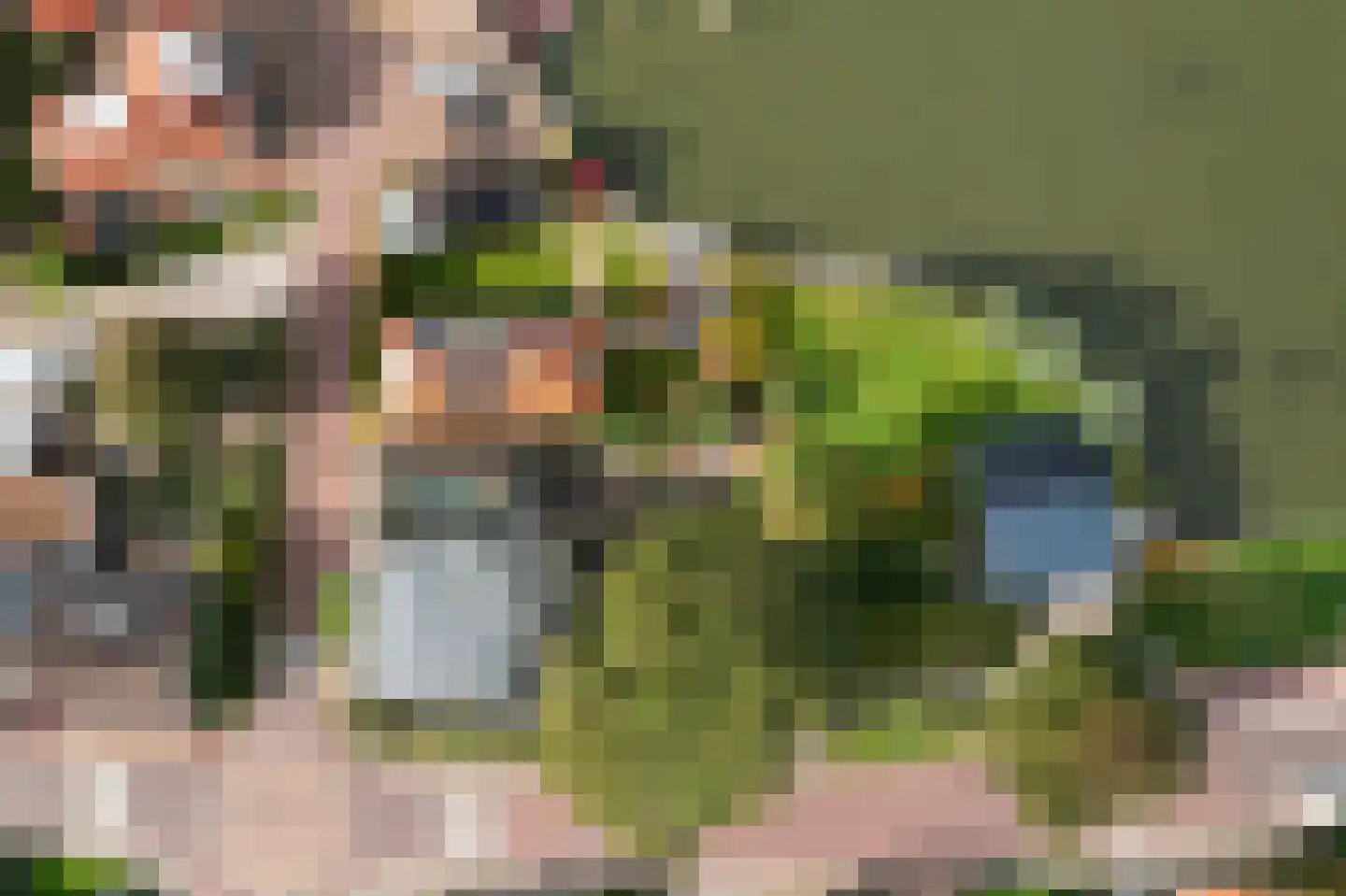't Noard 2 Warns thumbnail 6