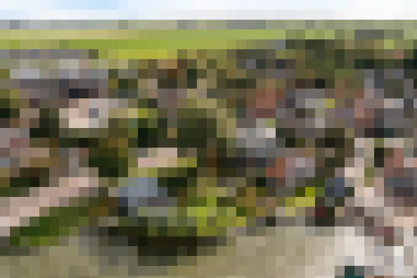 't Noard 2 Warns thumbnail 8