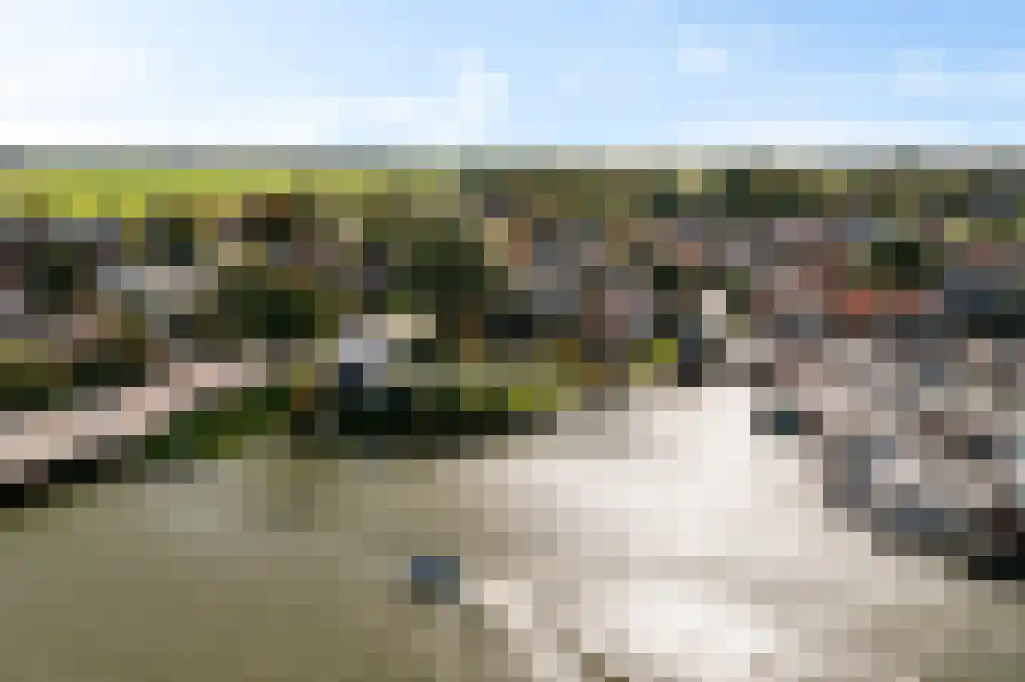 't Noard 2 Warns thumbnail 9