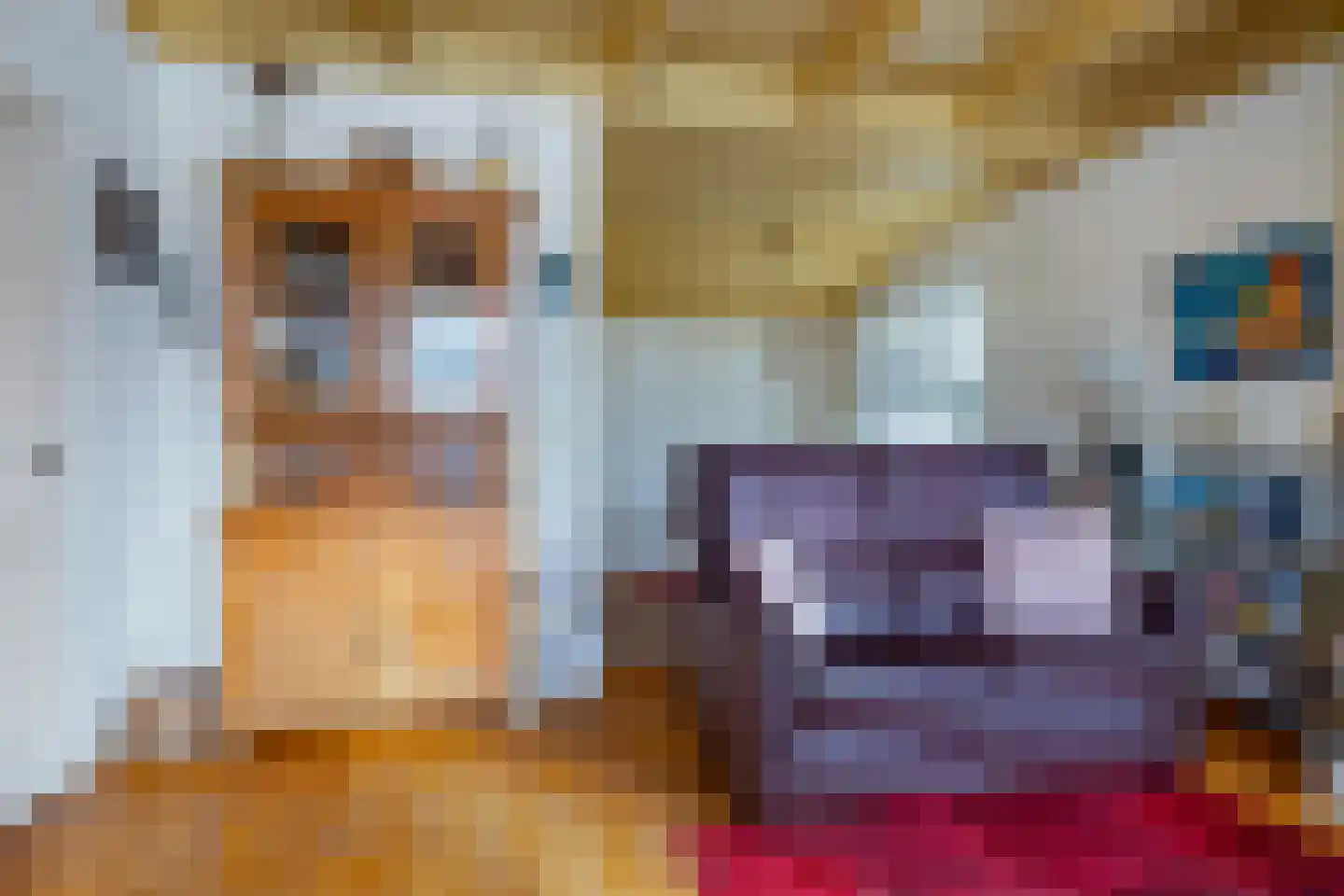 't Noard 33 Warns thumbnail 11