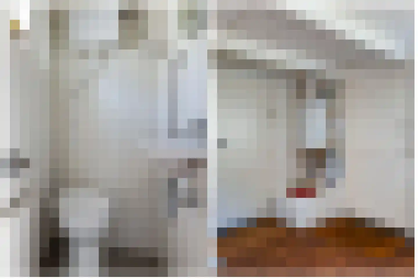 't Noard 33 Warns thumbnail 20