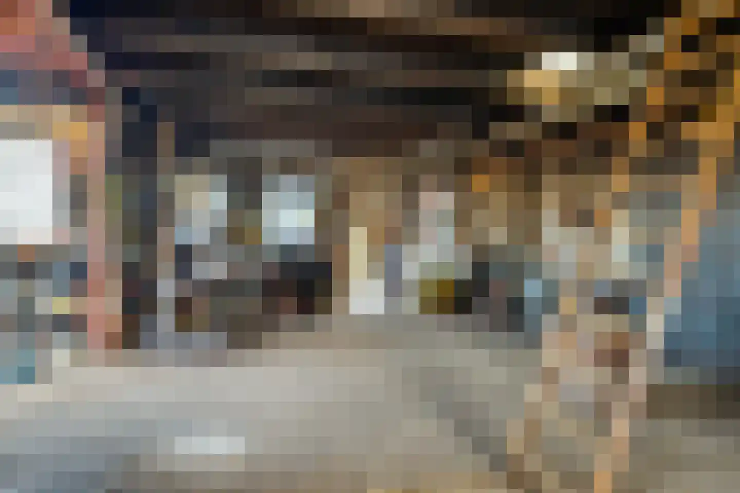 't Noard 33 Warns thumbnail 33