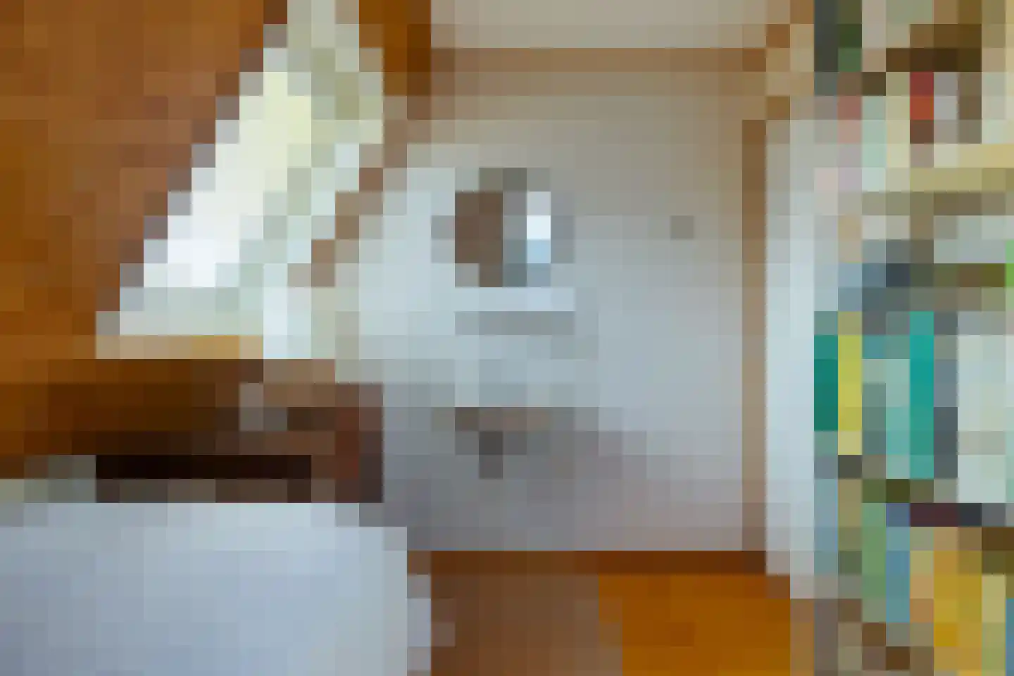 't Noard 33 Warns thumbnail 47