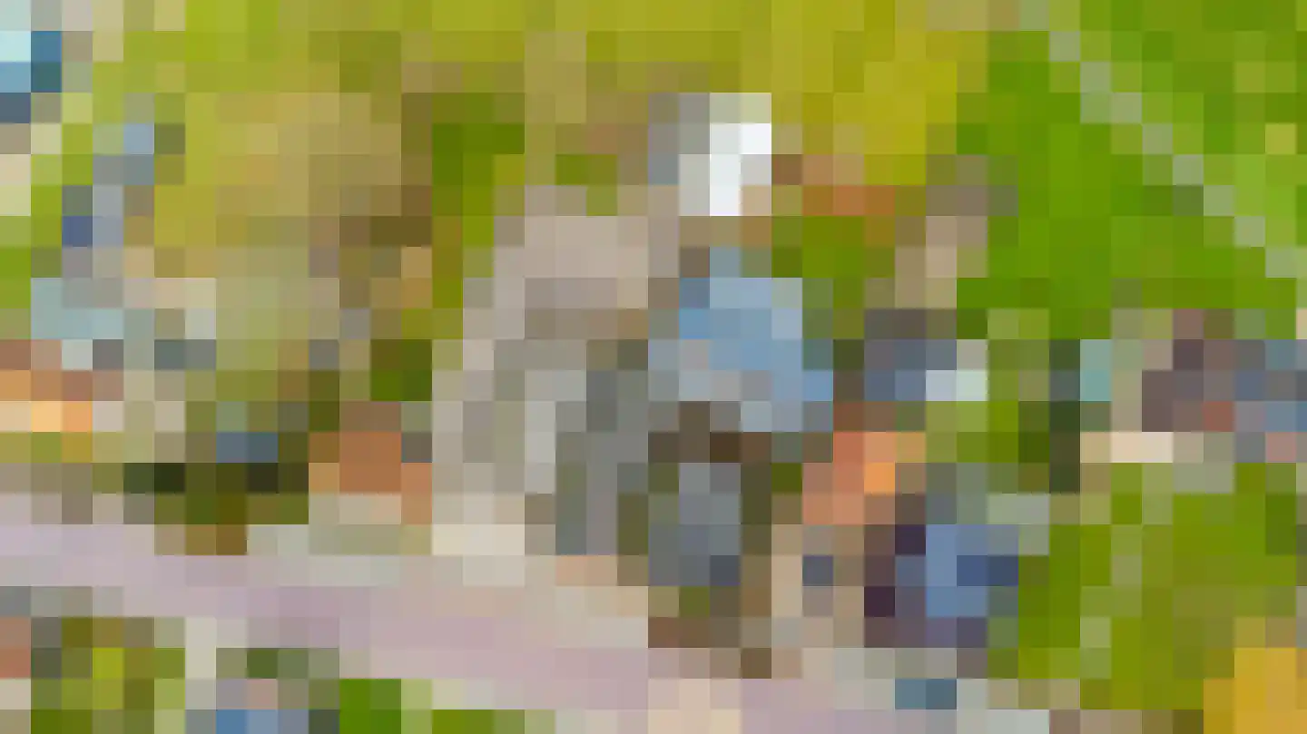 't Noard 33 Warns thumbnail 56