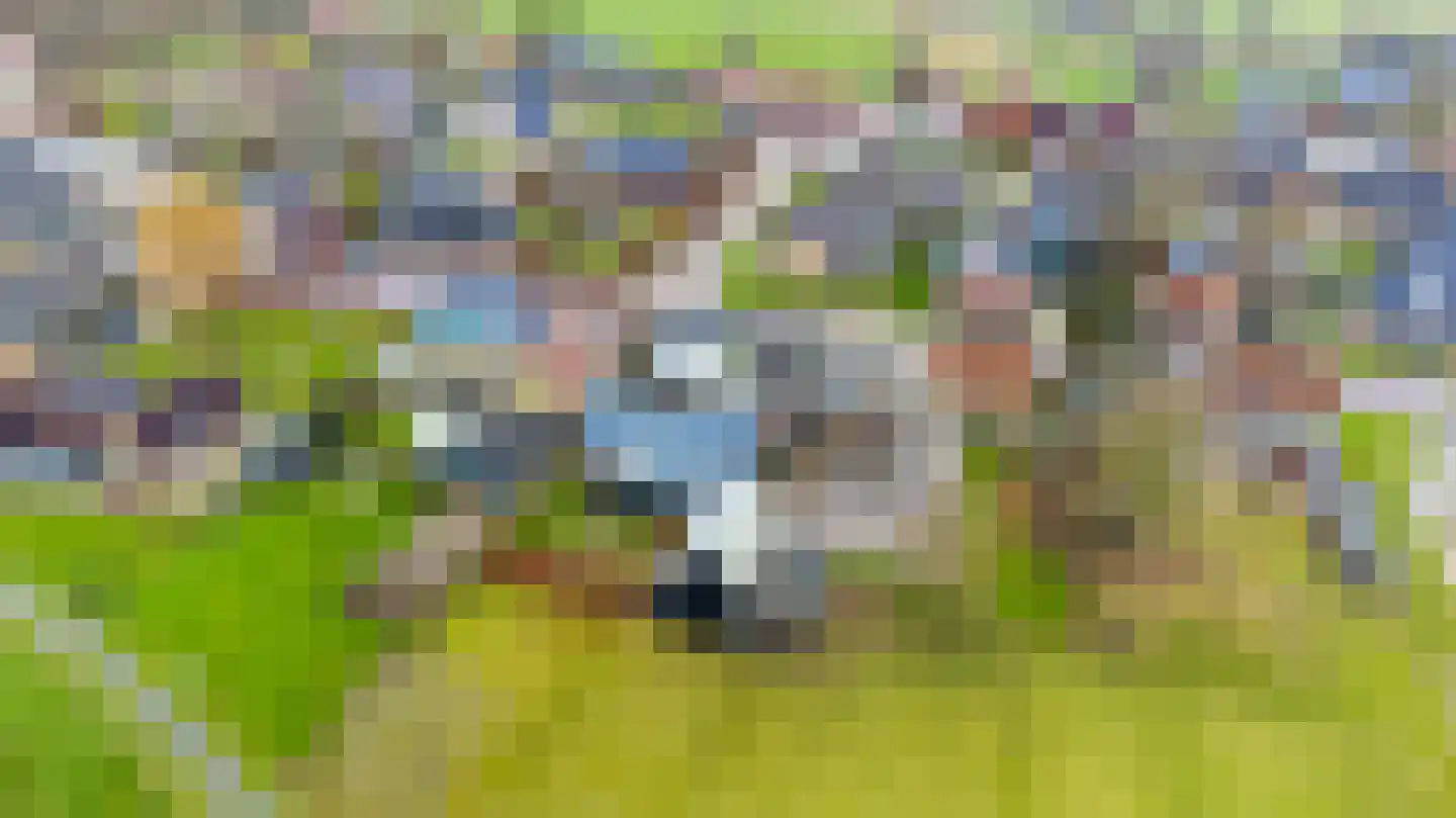 't Noard 33 Warns thumbnail 57