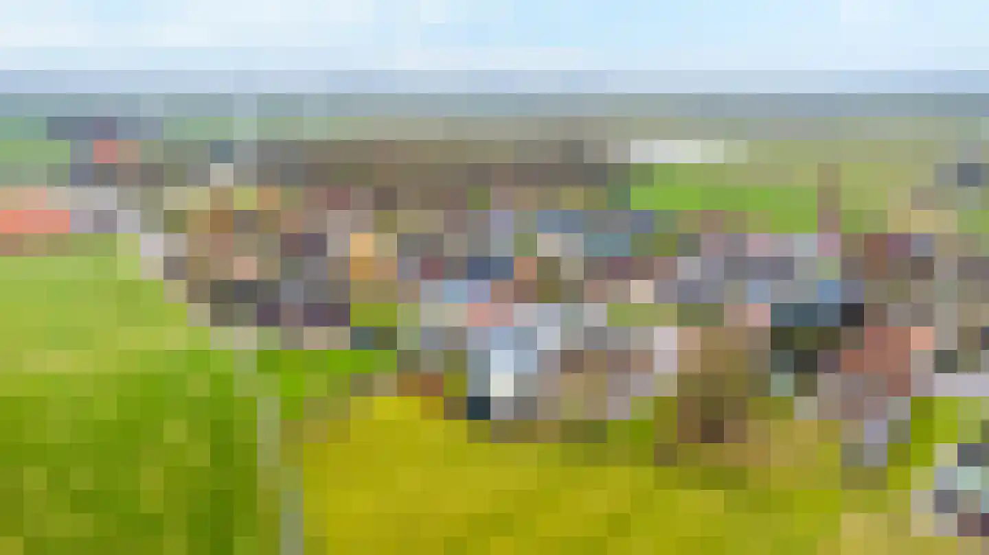 't Noard 33 Warns thumbnail 58