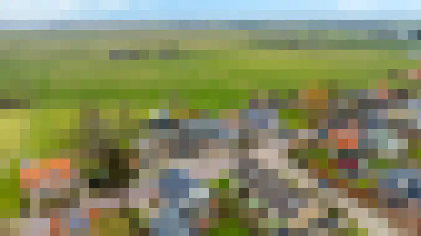 't Noard 33 Warns thumbnail 59
