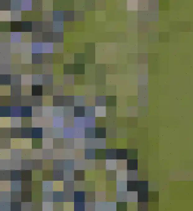 't Noard 33 Warns thumbnail 60