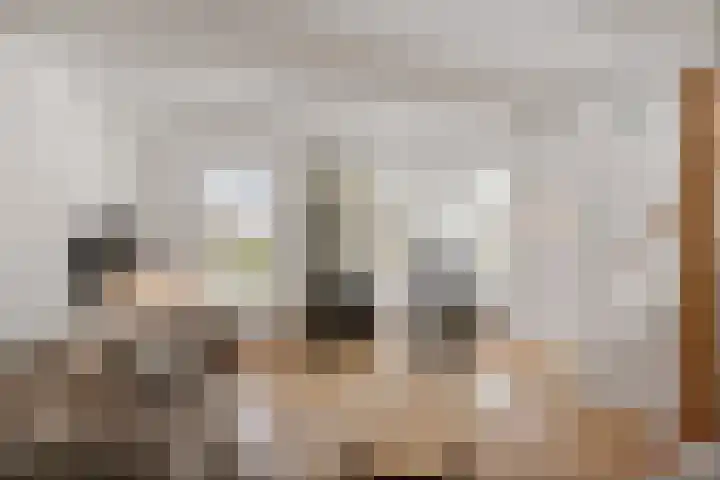 't Noard 64 Warns foto 3