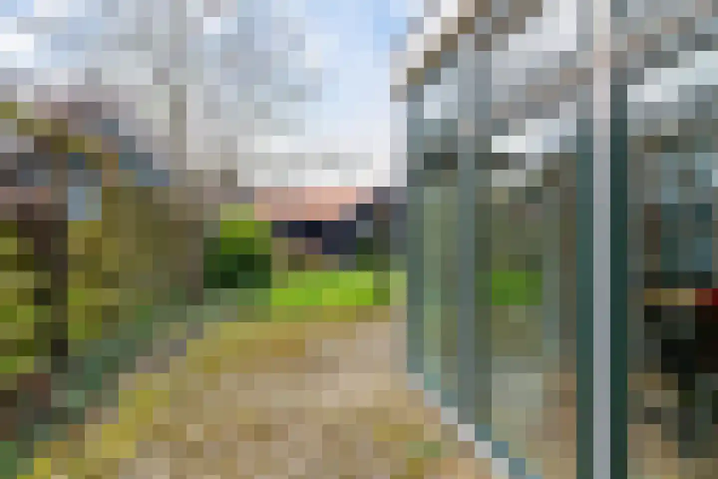 't Noard 64 Warns thumbnail 30