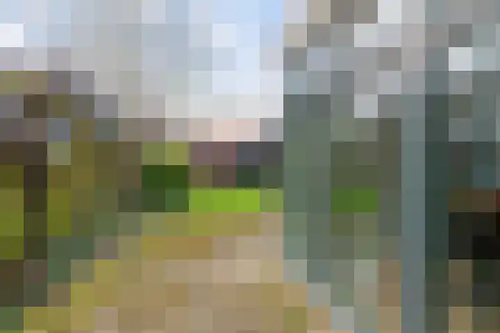 't Noard 64 Warns thumbnail 30