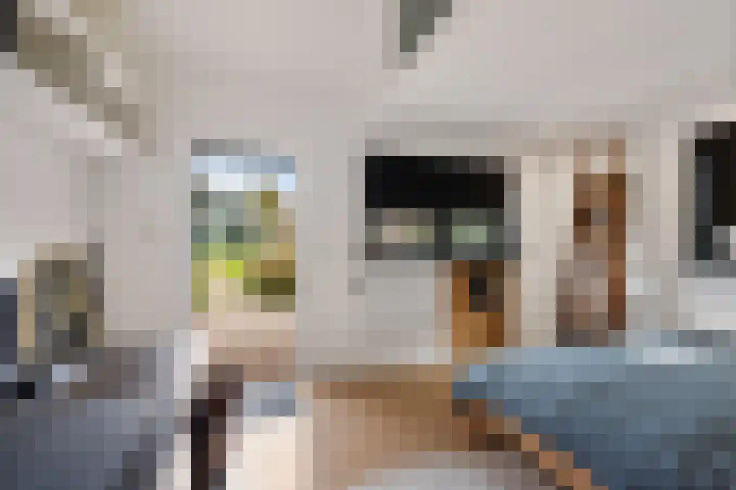 't Noard 64 Warns thumbnail 34