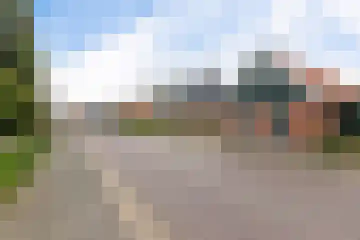 't Noard 64 Warns thumbnail 43