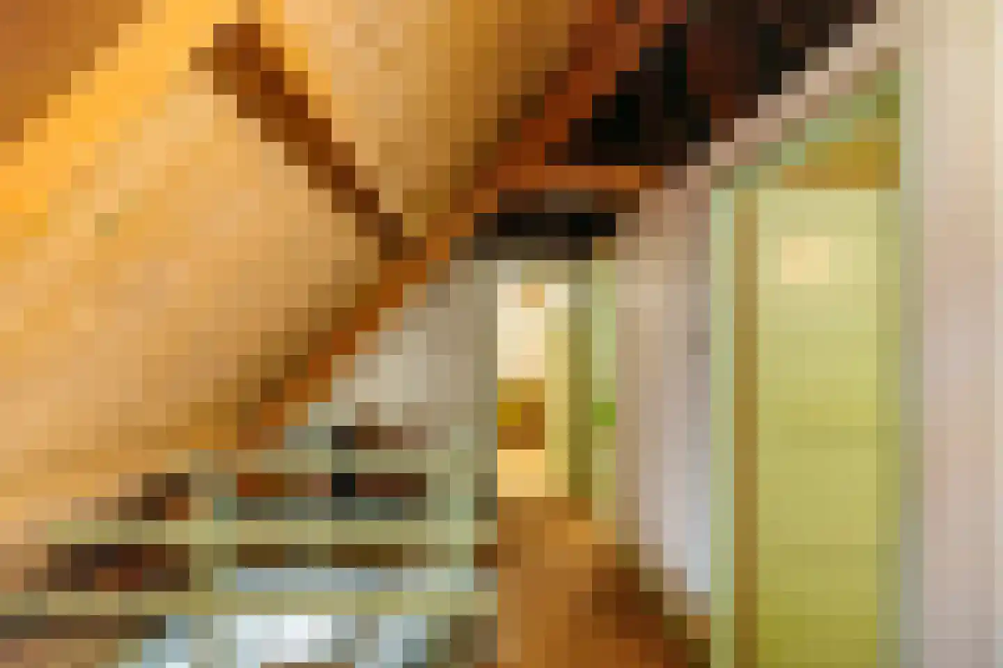 't Noorden 1 Smilde thumbnail 26