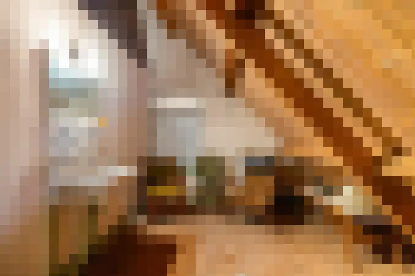 't Noorden 1 Smilde thumbnail 27