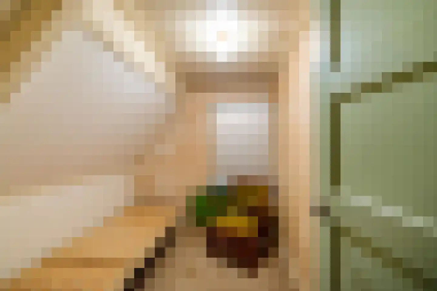 't Noorden 1 Smilde thumbnail 28