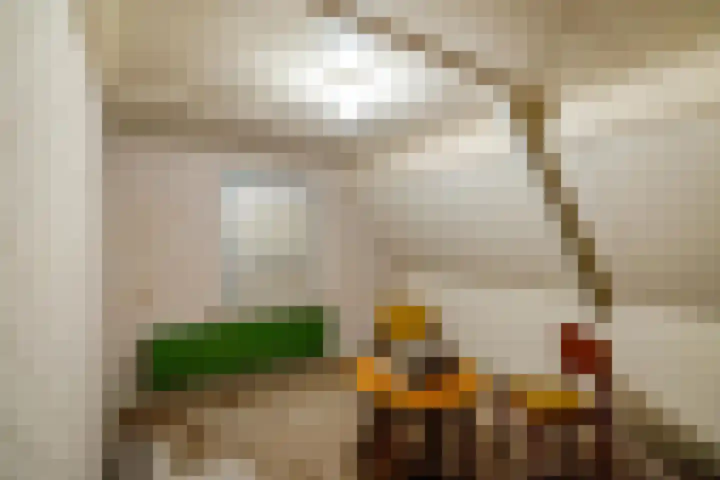 't Noorden 1 Smilde thumbnail 29