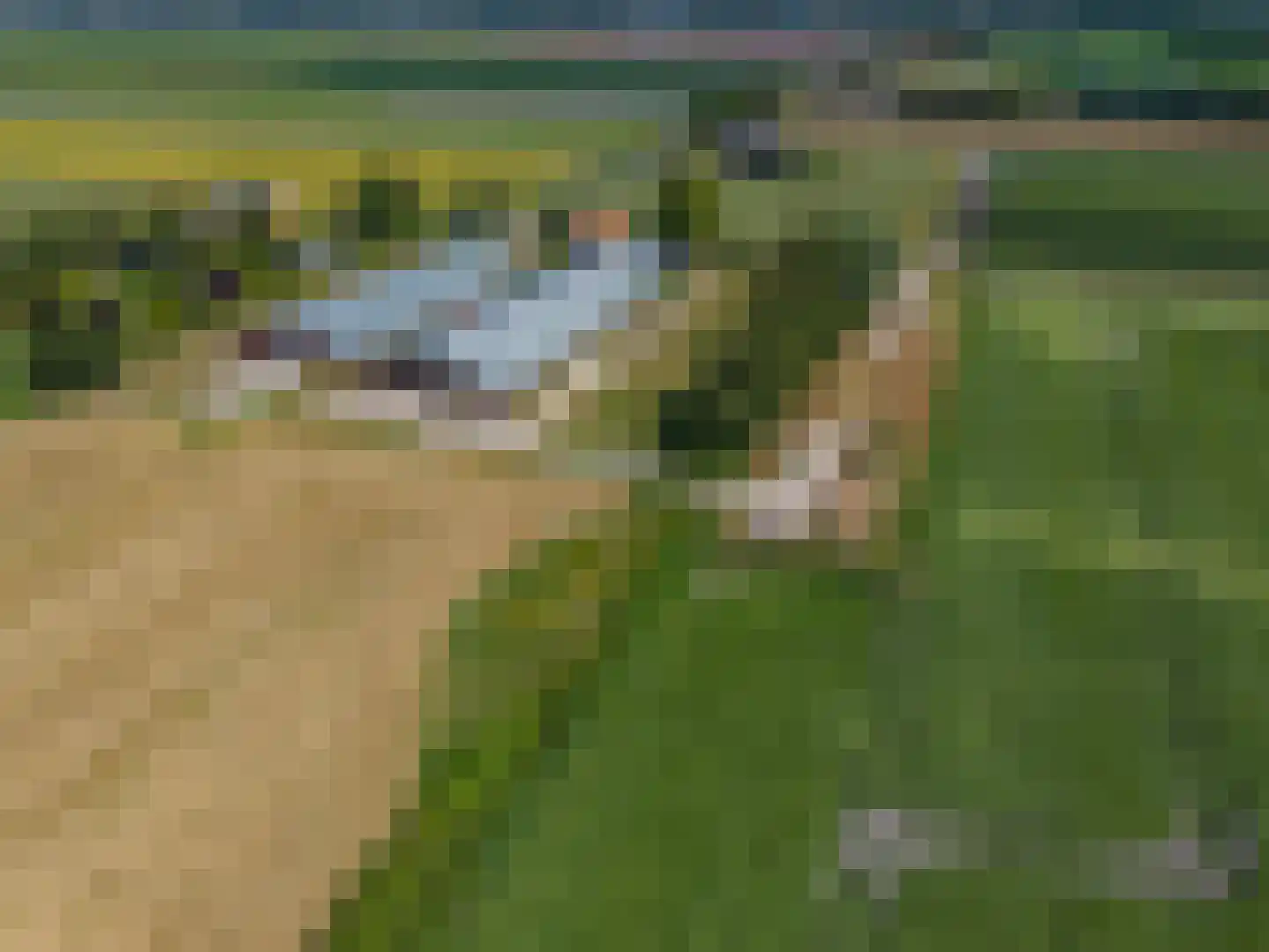 't Noorden 1 Smilde thumbnail 31