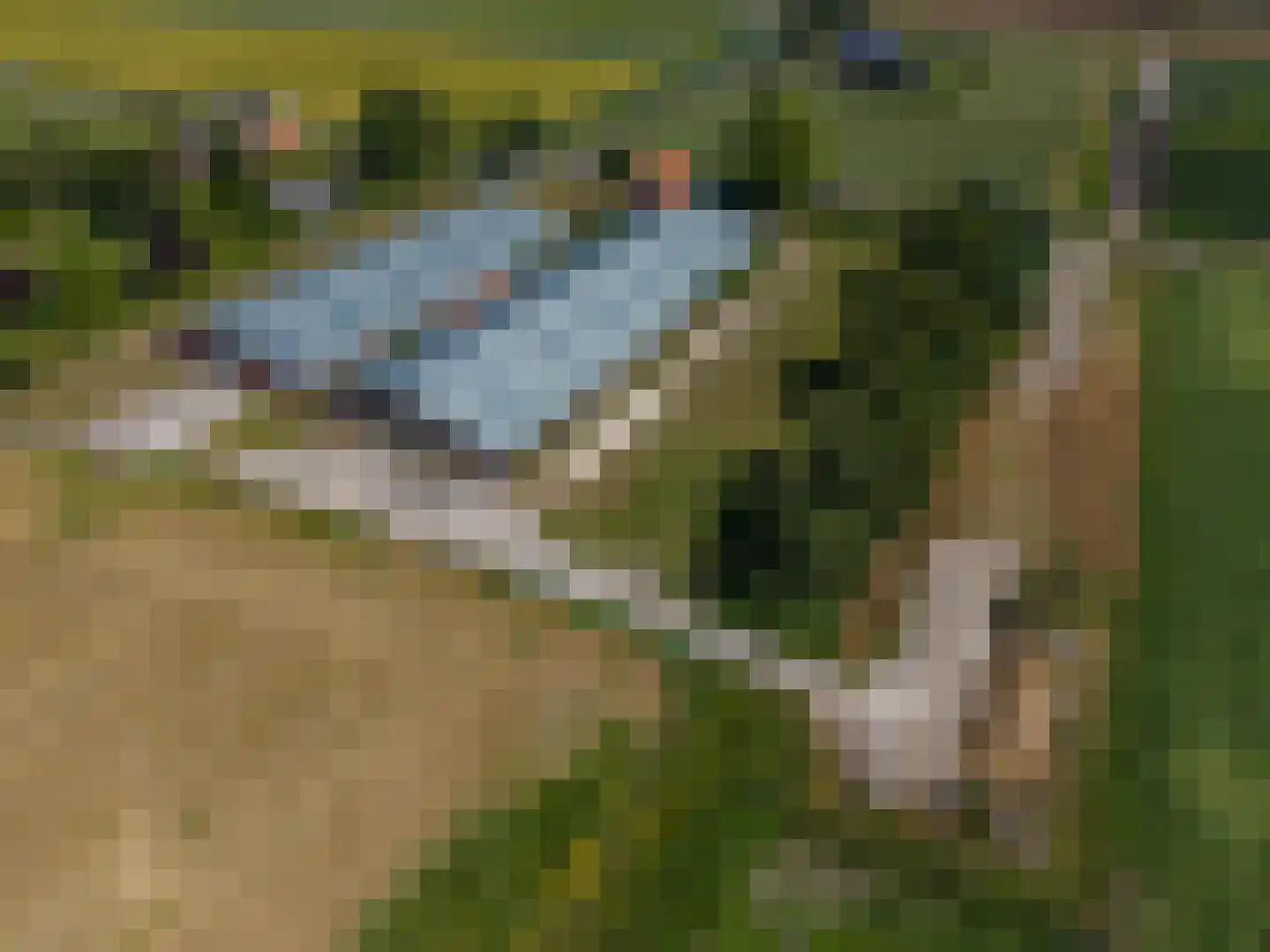 't Noorden 1 Smilde thumbnail 32