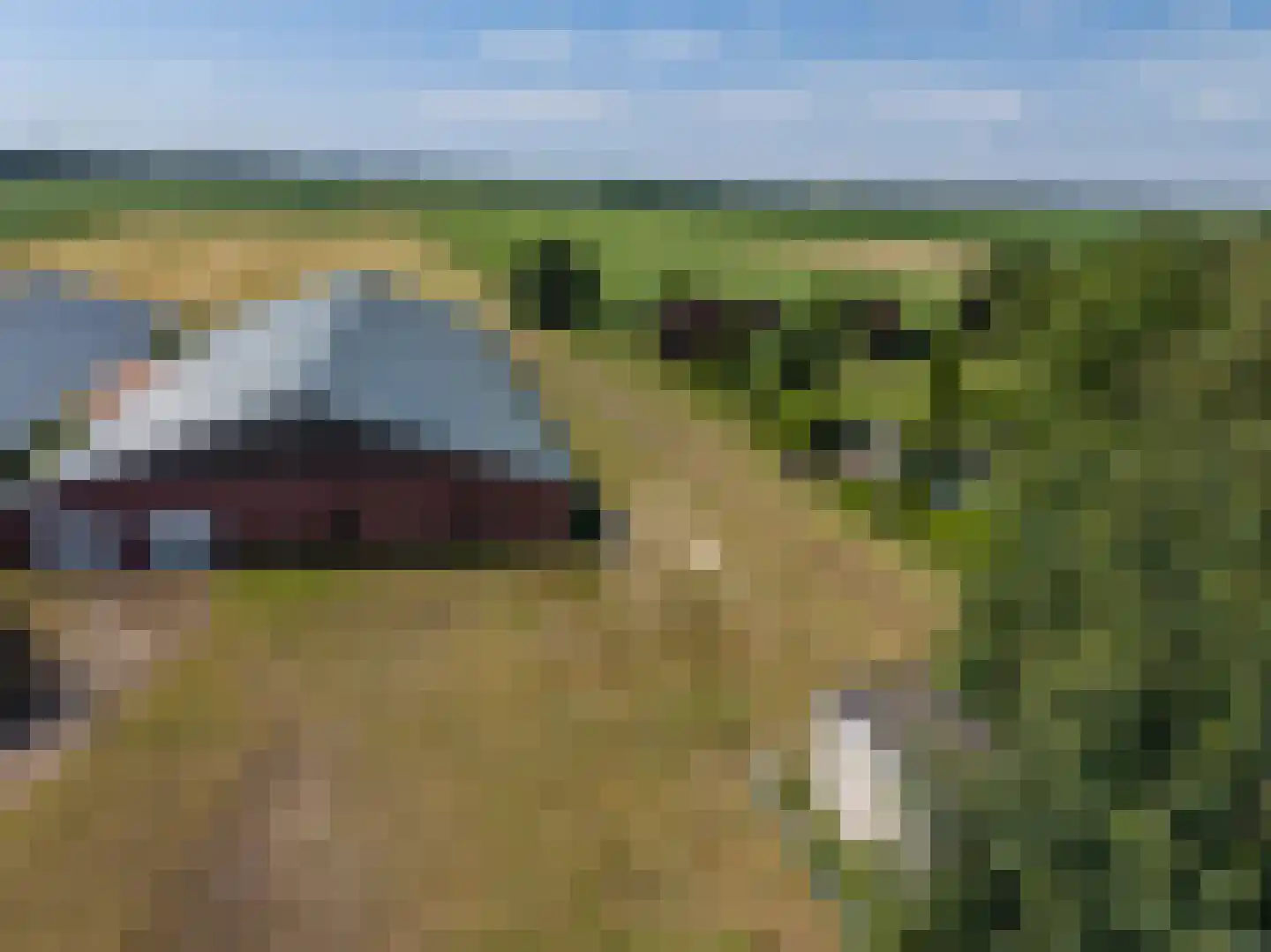 't Noorden 1 Smilde thumbnail 44