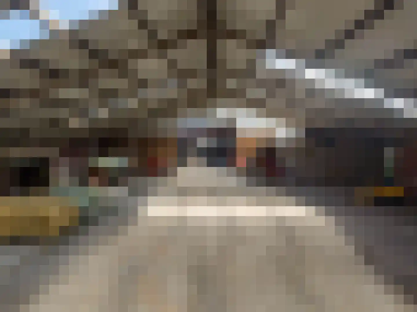 't Noorden 1 Smilde thumbnail 47