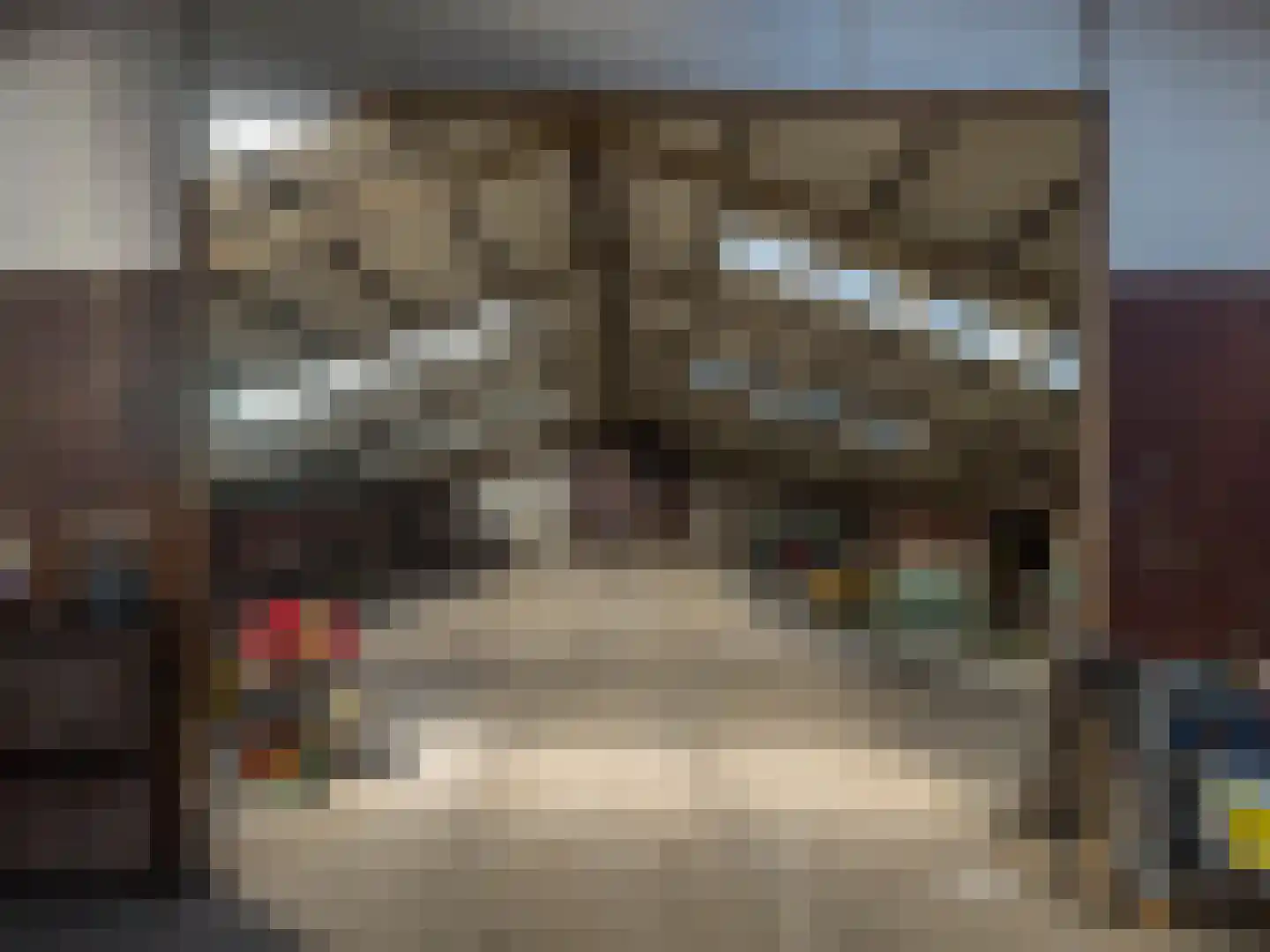 't Noorden 1 Smilde thumbnail 55