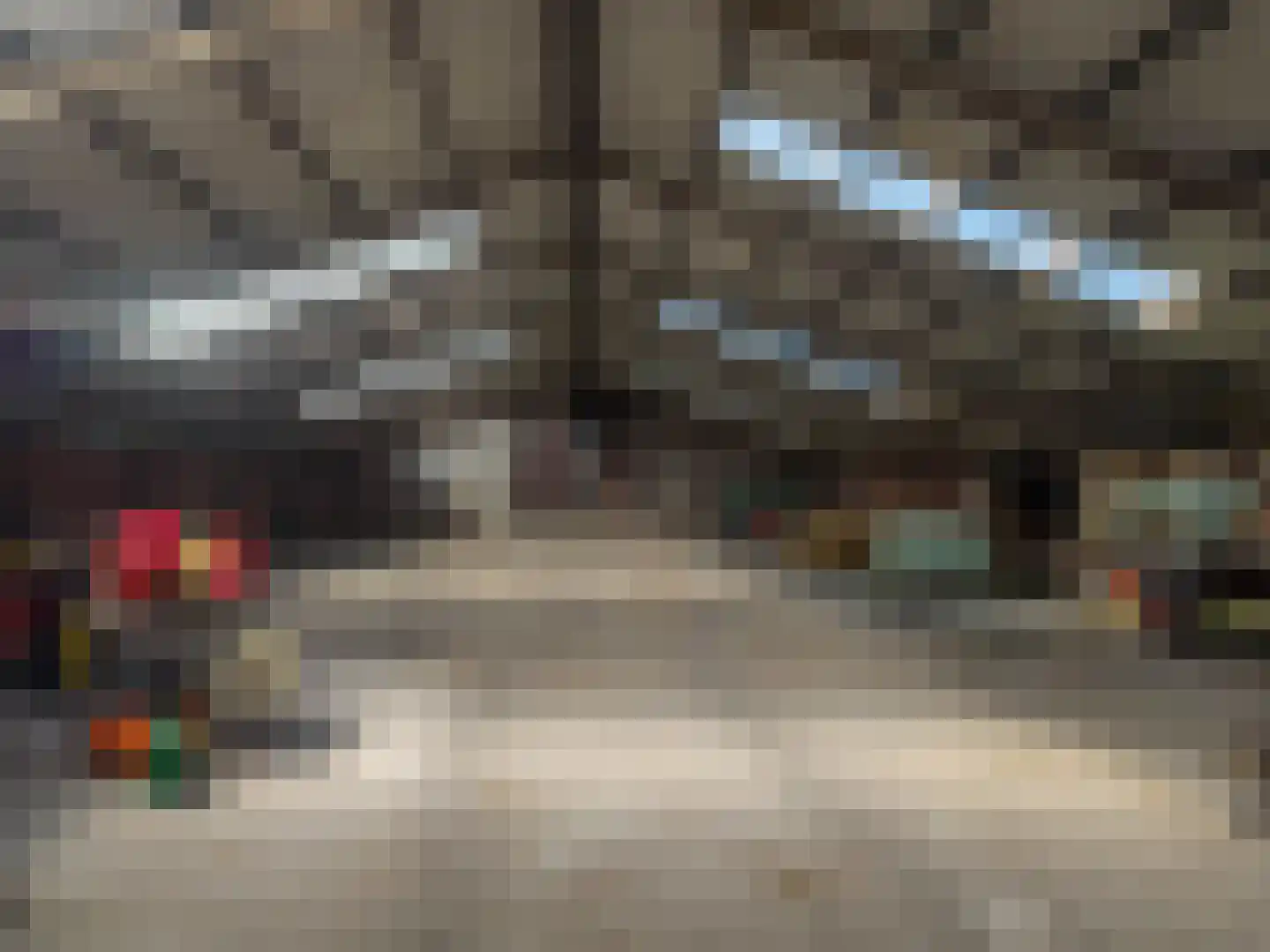 't Noorden 1 Smilde thumbnail 56