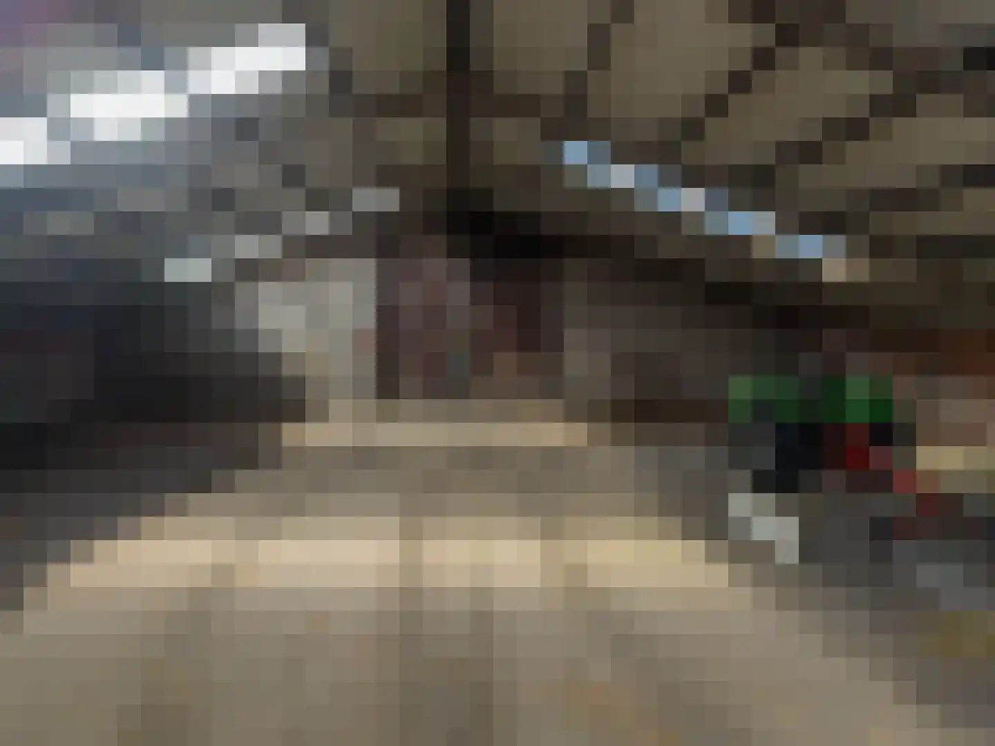 't Noorden 1 Smilde thumbnail 58