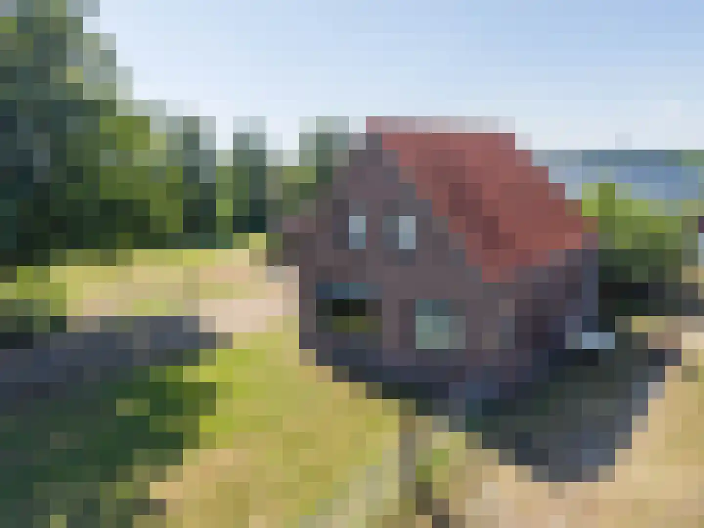 't Noorden 1 Smilde thumbnail 6