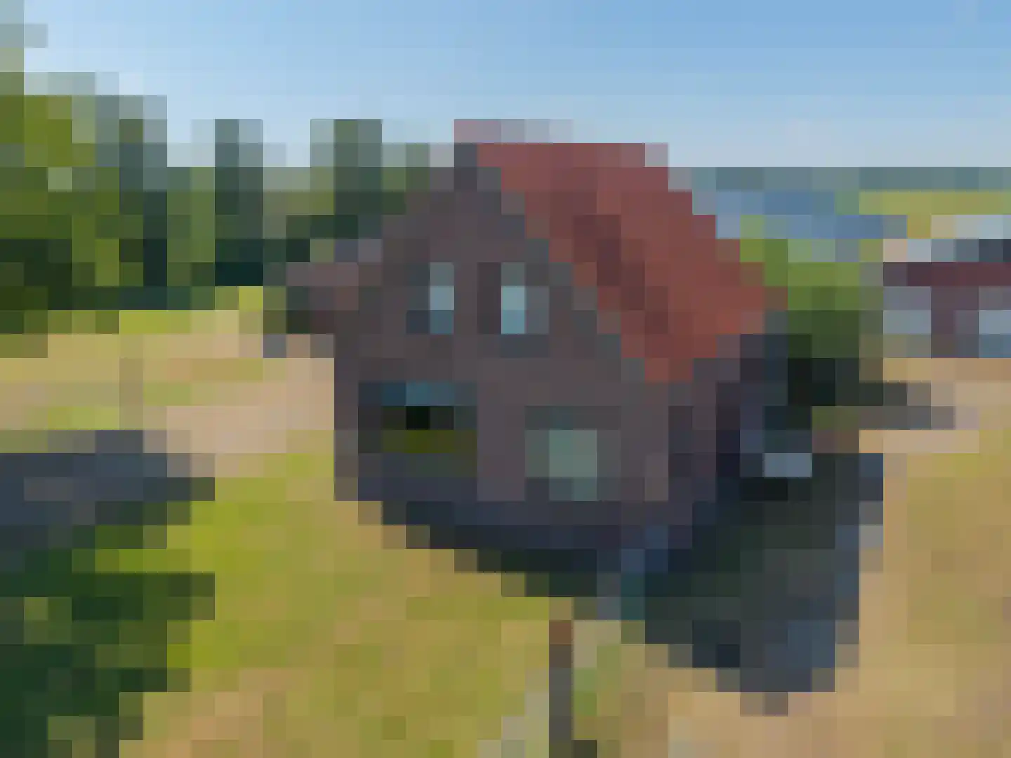 't Noorden 1 Smilde thumbnail 7