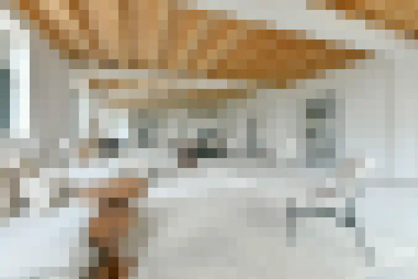 't Nopeind 12 A Amsterdam thumbnail 14