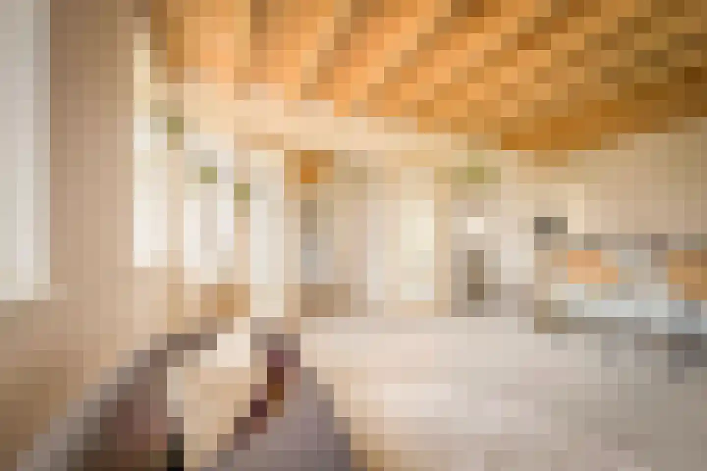 't Nopeind 12 A Amsterdam thumbnail 15