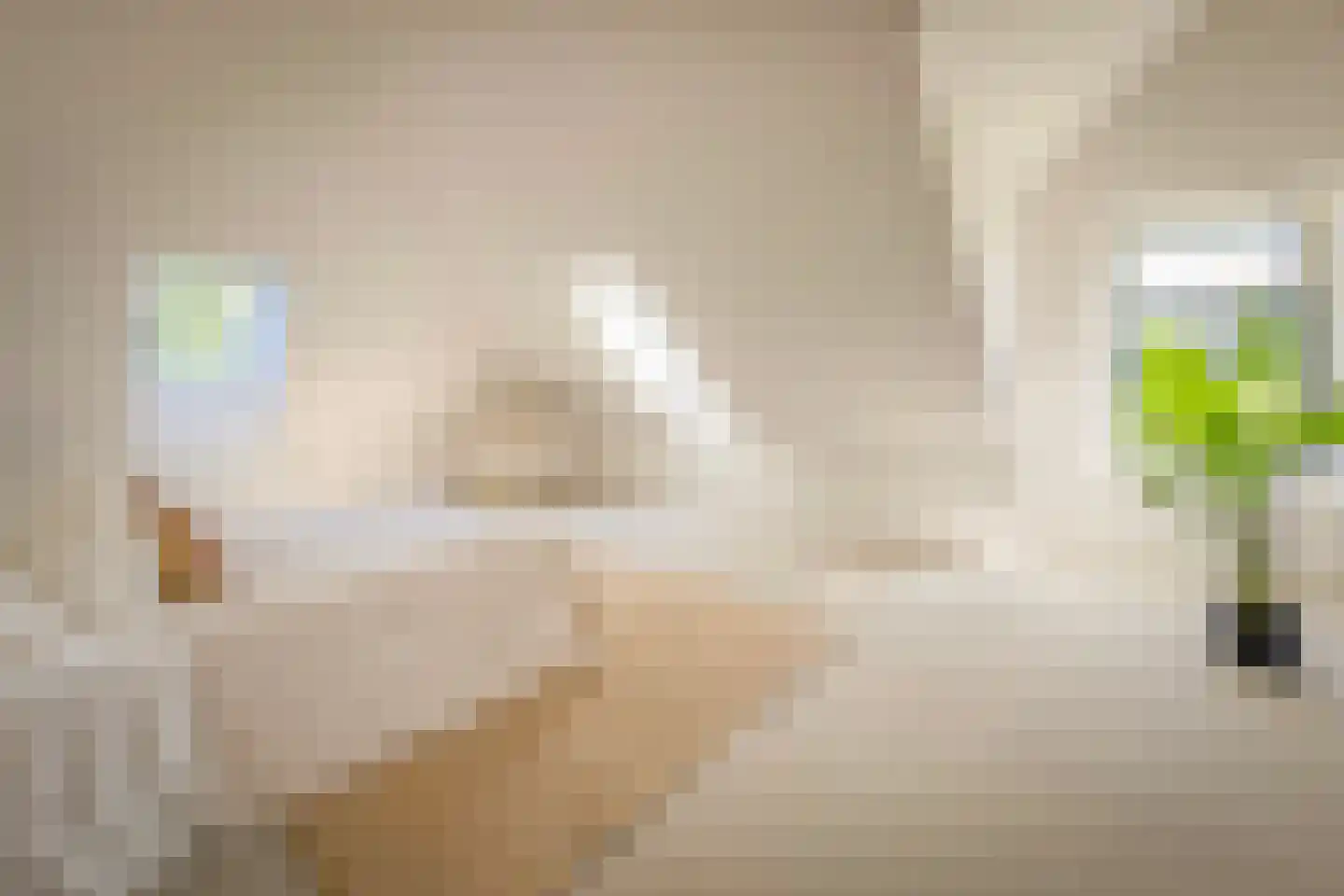't Nopeind 12 A Amsterdam thumbnail 17
