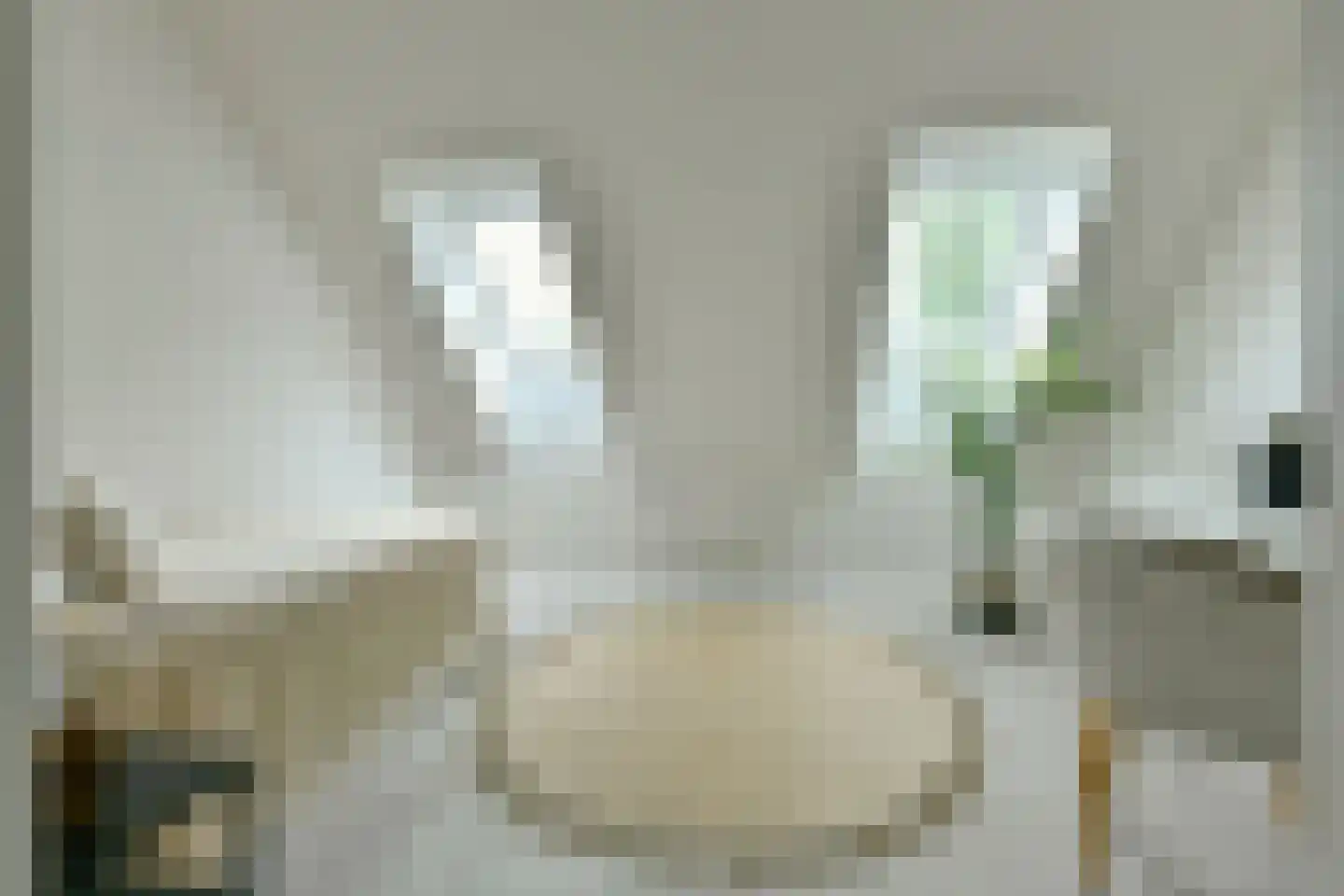 't Nopeind 12 A Amsterdam thumbnail 20