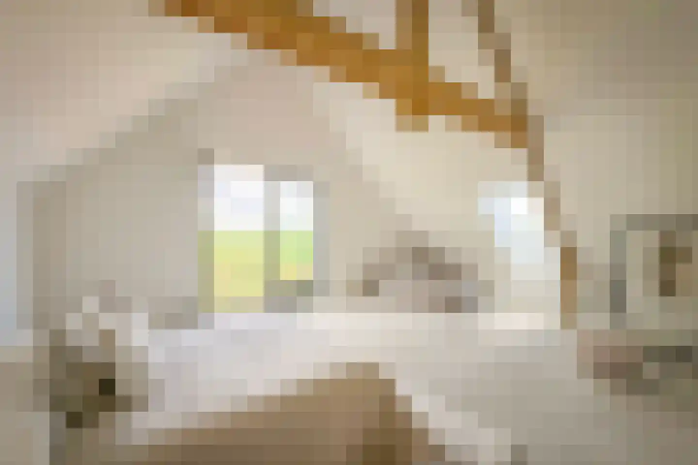 't Nopeind 12 A Amsterdam thumbnail 23