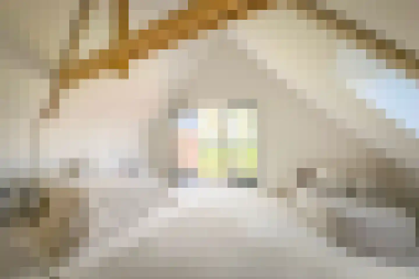 't Nopeind 12 A Amsterdam thumbnail 24