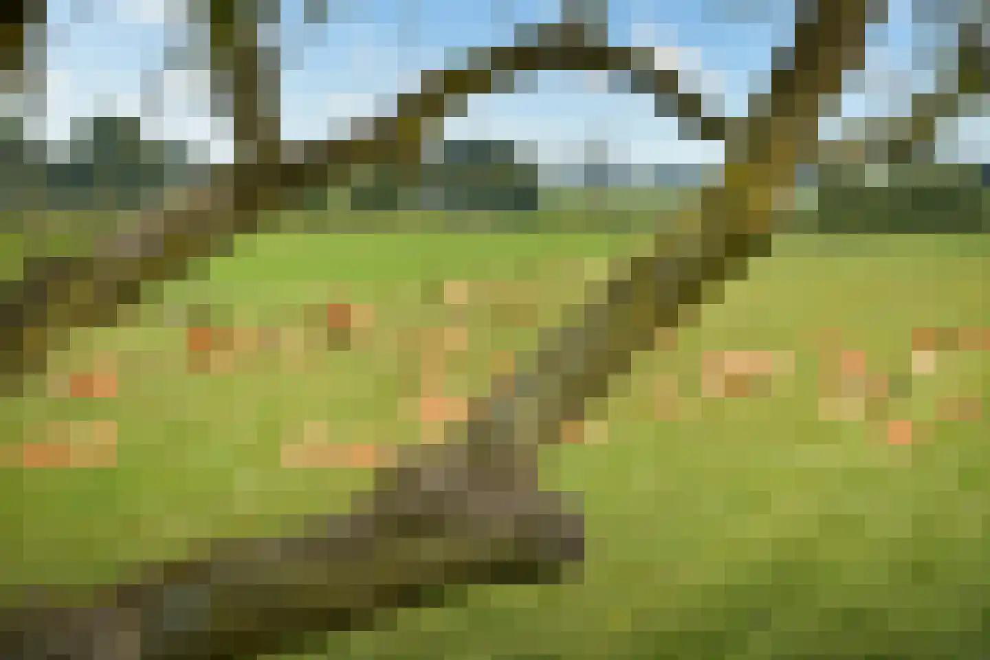 't Nopeind 12 A Amsterdam thumbnail 26