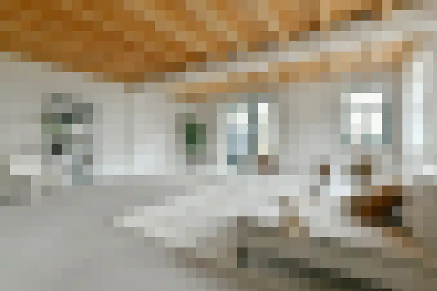 't Nopeind 12 A Amsterdam thumbnail 9
